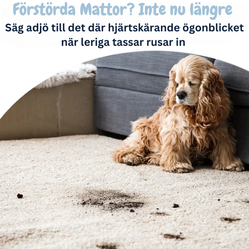 HundMattan - Säkerställer Torrt och Rent