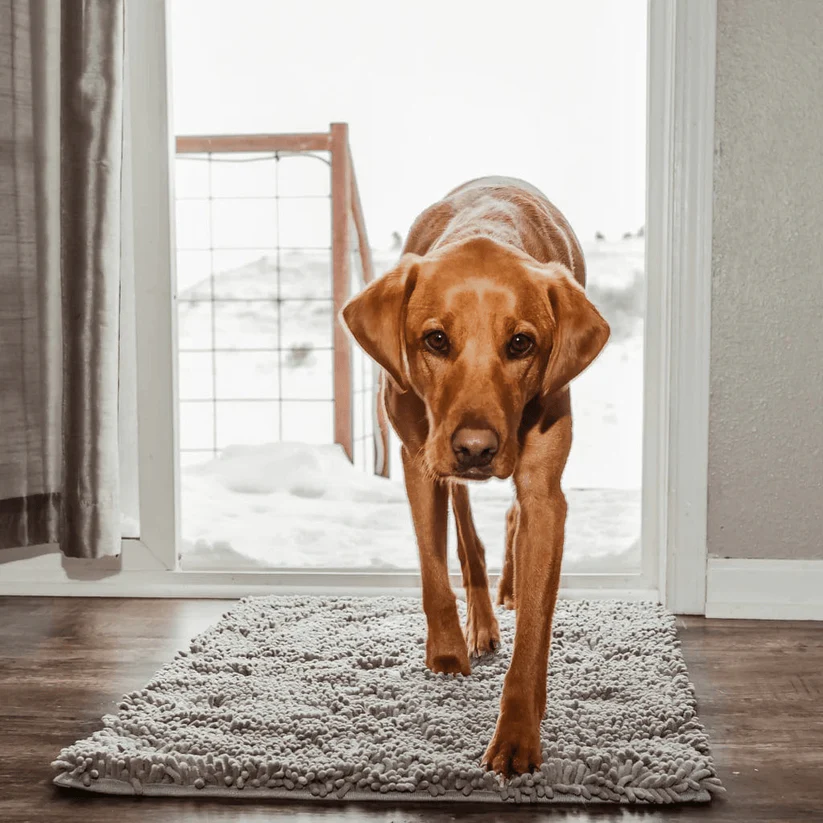 HundMattan - Säkerställer Torrt och Rent